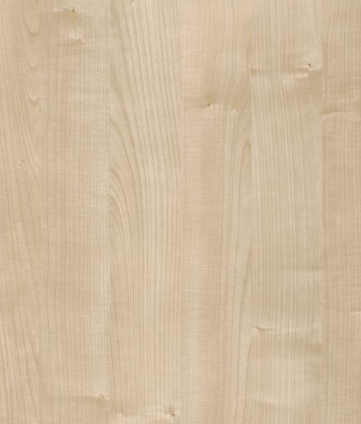 maple_site-1