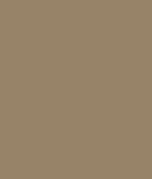 TAUPE_f13dc119a5